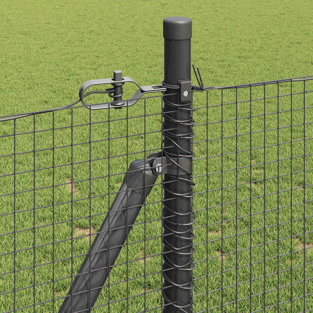 vidaXL Συρματόπλεγμα με Σκυρόδεμα 50 x 0,8 m PVC-Επικαλυμμένο Ατσάλι