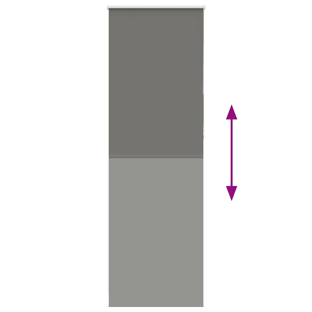 vidaXL Ρολέρ Μπλακάουτ γκρί 80x210 cm Πλάτος υφάσματος 75,7 cm