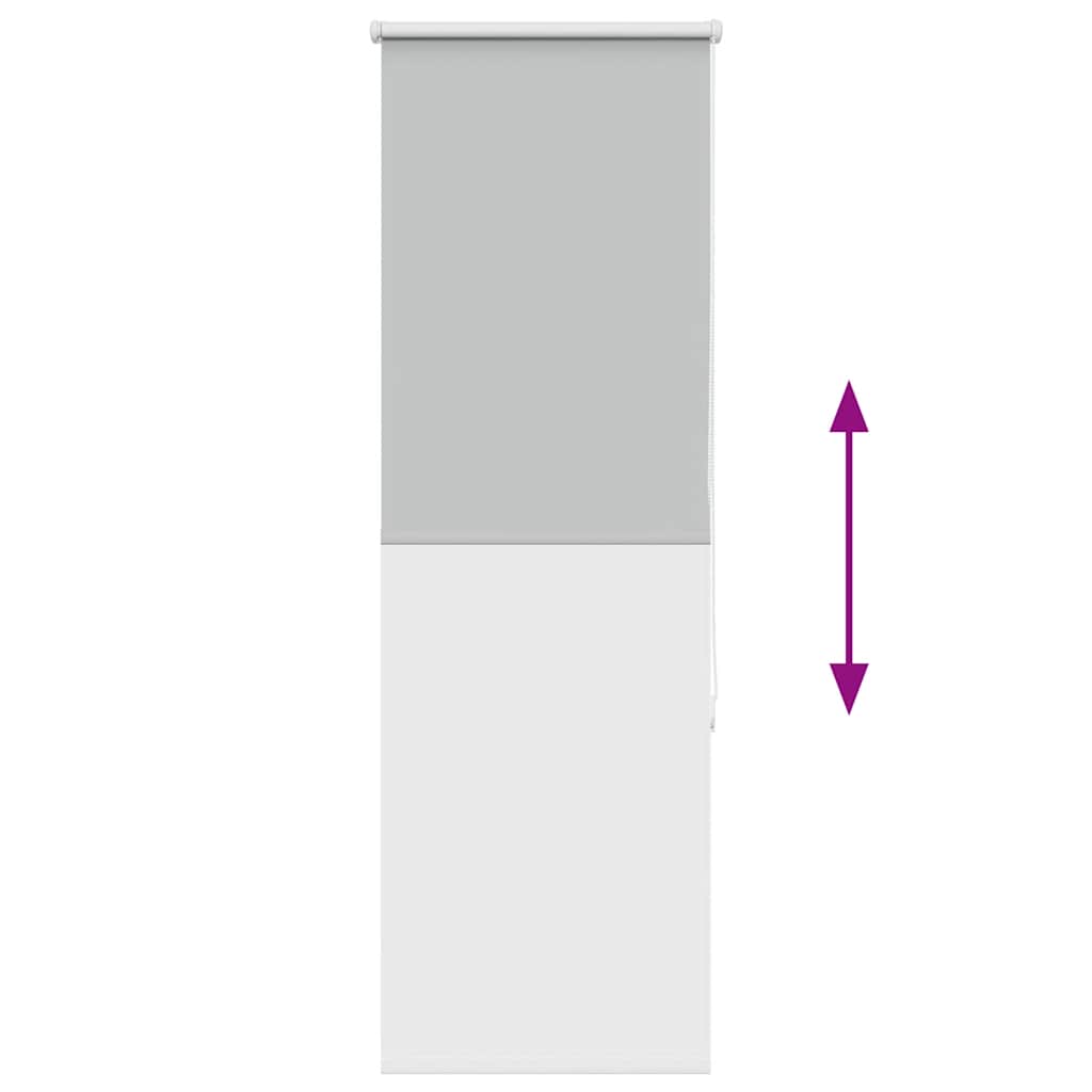 vidaXL Ρολέρ Μπλακάουτ ανοιχτό γκρι 60x150 cm Πλάτος υφάσματος 55,7cm
