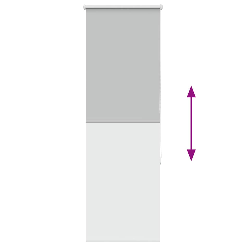 vidaXL Roller Blind Blackout ανοιχτό γκρι 55x175 cm Πλάτος υφάσματος