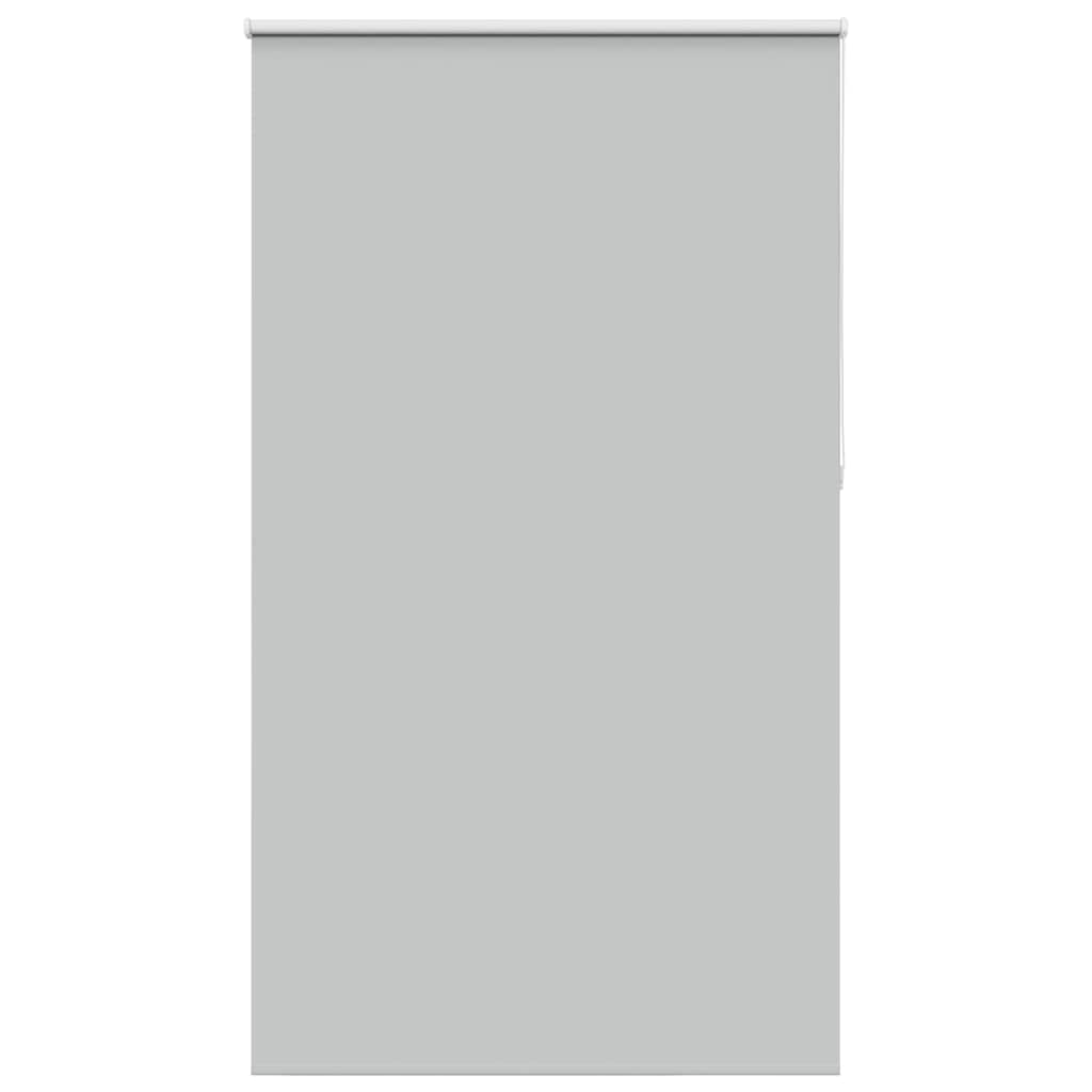 vidaXL Ρολέρ Μπλακάουτ ανοιχτό γκρι 120x210 cm Πλάτος υφάσματος