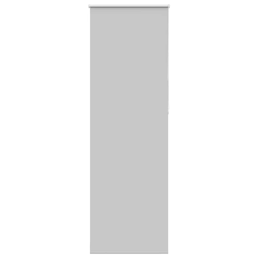 vidaXL Ρολέρ Μπλακάουτ ανοιχτό γκρι 65x230 cm Πλάτος υφάσματος 60,7cm