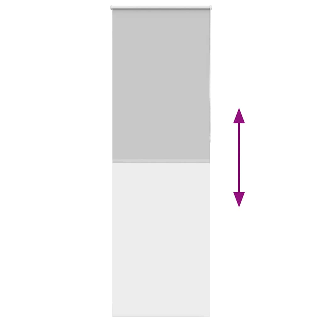 vidaXL Ρολέρ Μπλακάουτ ανοιχτό γκρι 80x230 cm Πλάτος υφάσματος 75,7cm