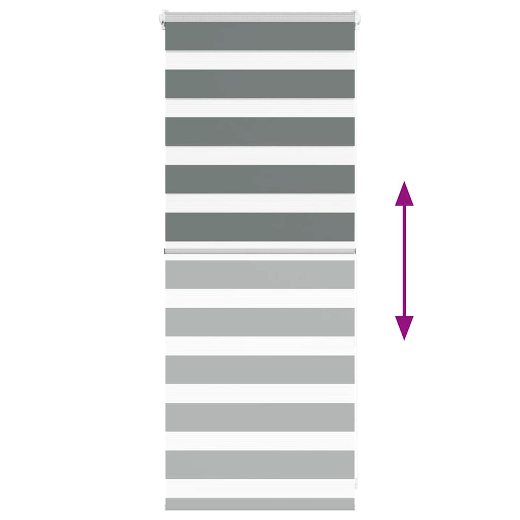 vidaXL Ζέβρα τυφλή Σκούρο Γκρι Πλάτος υφάσματος 55,9 εκ. Πολυεστέρας