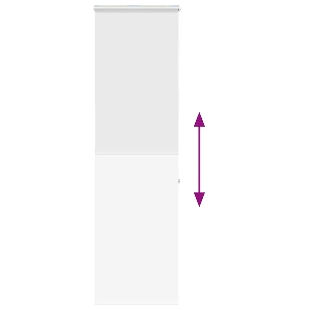 vidaXL Κουρτίνα Μπάνιου Ρολό κασέτα 70x240εκ. Πλάτος υφάσματος 66εκ.