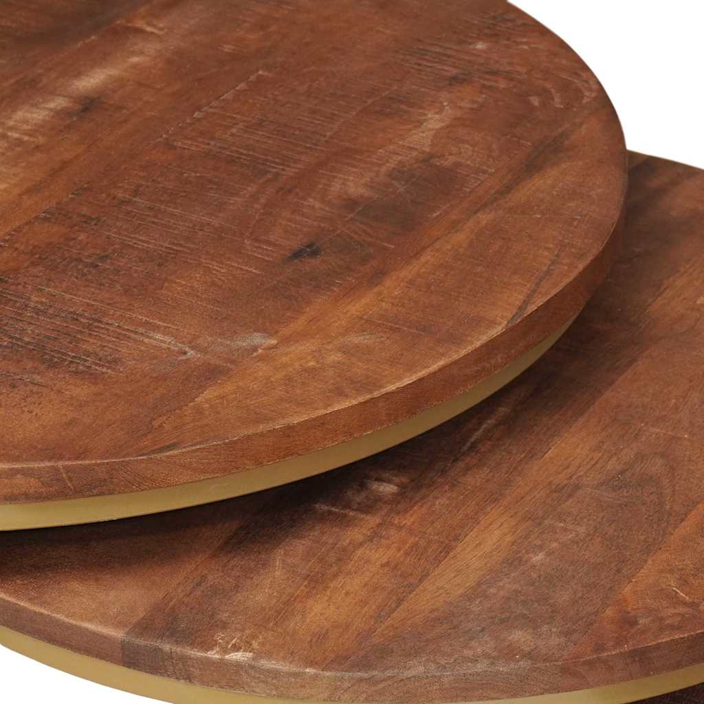 vidaXL Τραπεζάκια Καφέ Στερεών 2 pcs Μασίφ ξύλο μάνγκο και χάλυβας