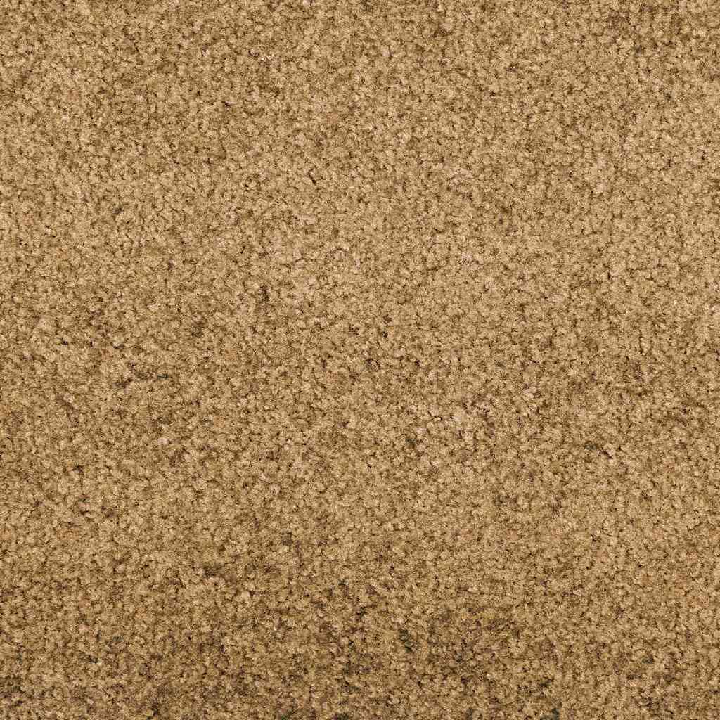 vidaXL Χαλάκι Εξώπορτας Κρέμα και Μαύρο 120 x 250 cm