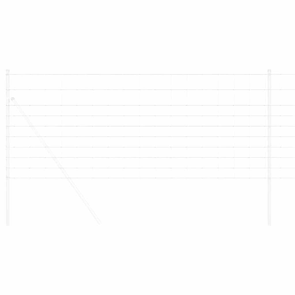 vidaXL Άγριο Φράχτη Ζεστός Γαλβανισμένος 1000 x 100 x 0.18 εκ Σίδερο