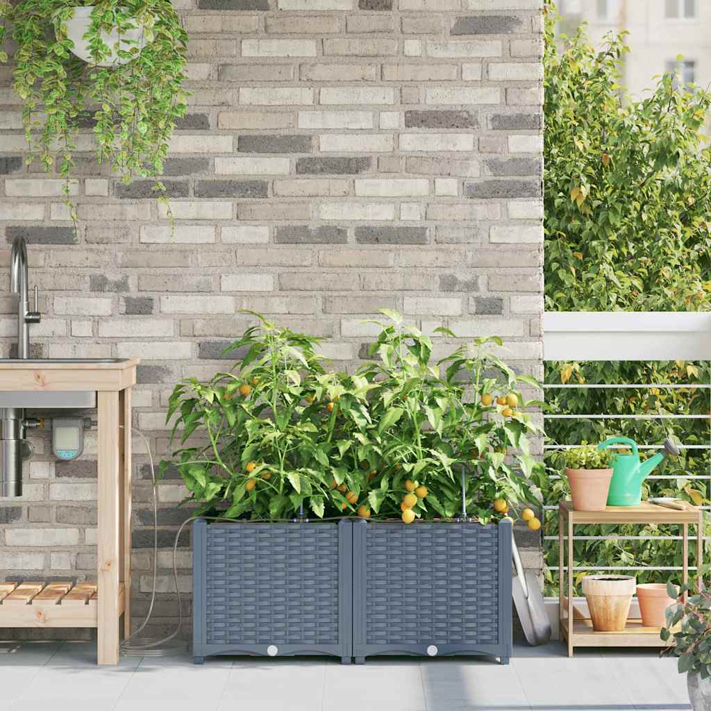 vidaXL Γλάστρα Κήπου 2 pcs Ανοιχτό Γκρι 80 x 40 x 37,5 cm Πλαστικό