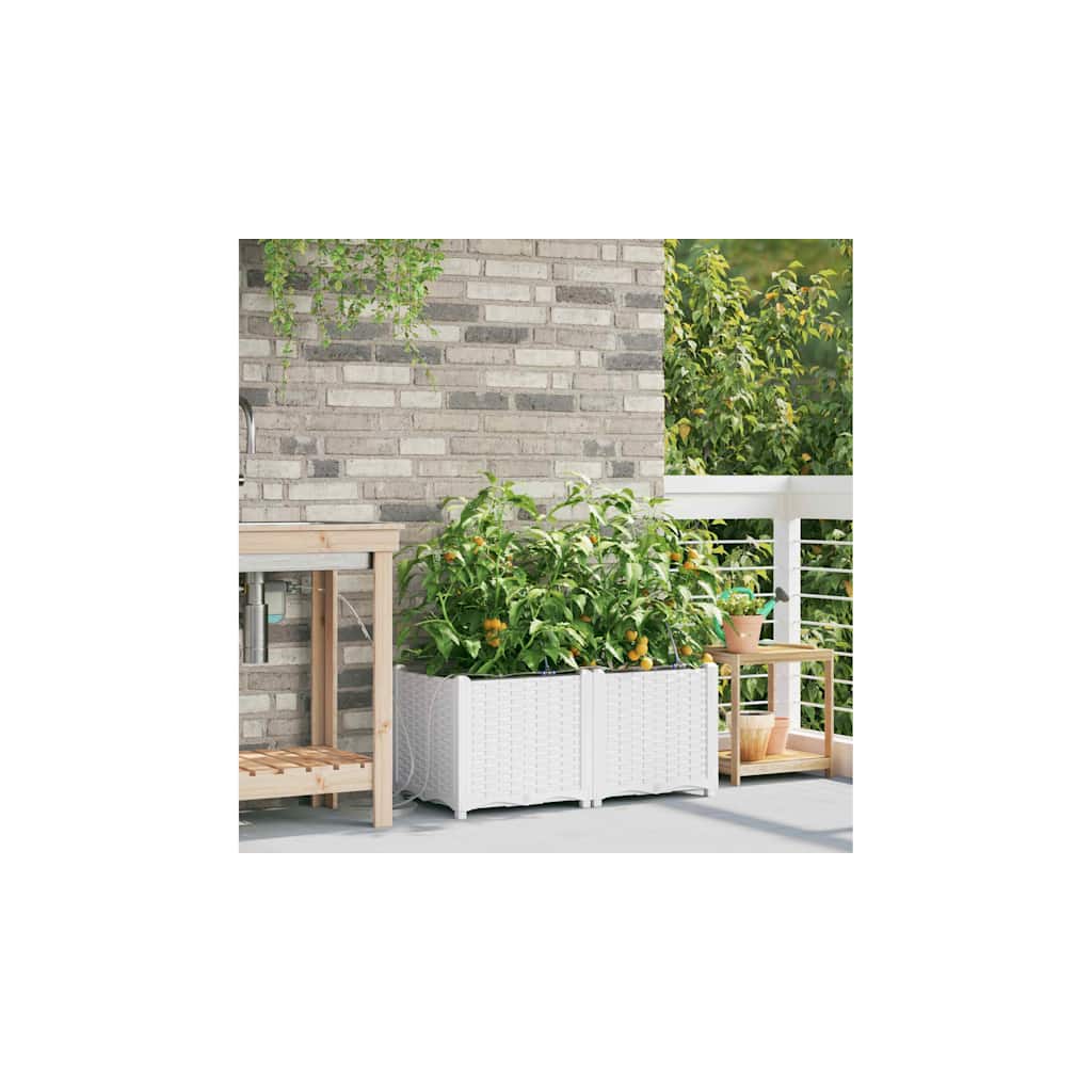 vidaXL Γλάστρα Κήπου 2 pcs Λευκός 80 x 40 x 37,5 cm Πλαστικό