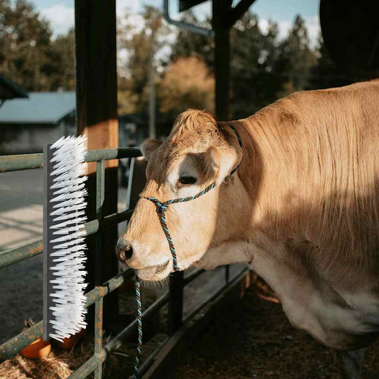 vidaXL Βούρτσες Βοοειδών Μαύρο και Λευκό 50 x 10 x 6.5 εκ.