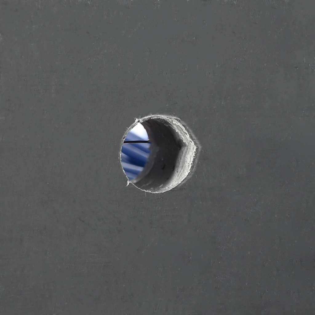 vidaXL Βούρτσες Βοοειδών Κόκκινο και μπλε 50 x 10 x 6.5 εκ.