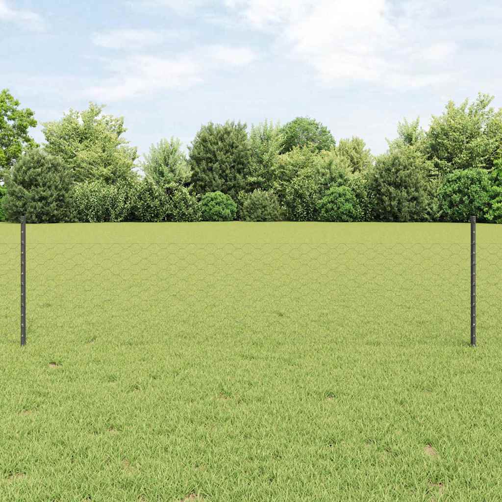 vidaXL Εξαγωνική Φράχτη με Στύλο 50 x 0,5 μ PVC-Επικαλυμμένο Ατσάλι