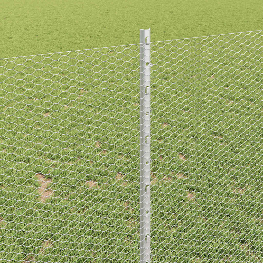 vidaXL Τείχος και Πόστ Ασημί 1 x 10 m Ατσάλι