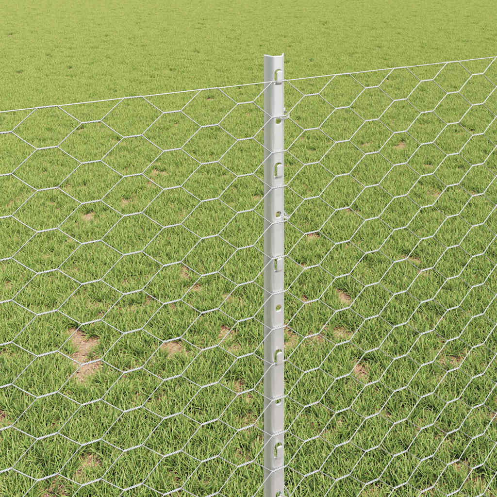 vidaXL Τείχος και Πόστ Ασημί 1 x 10 m Ατσάλι