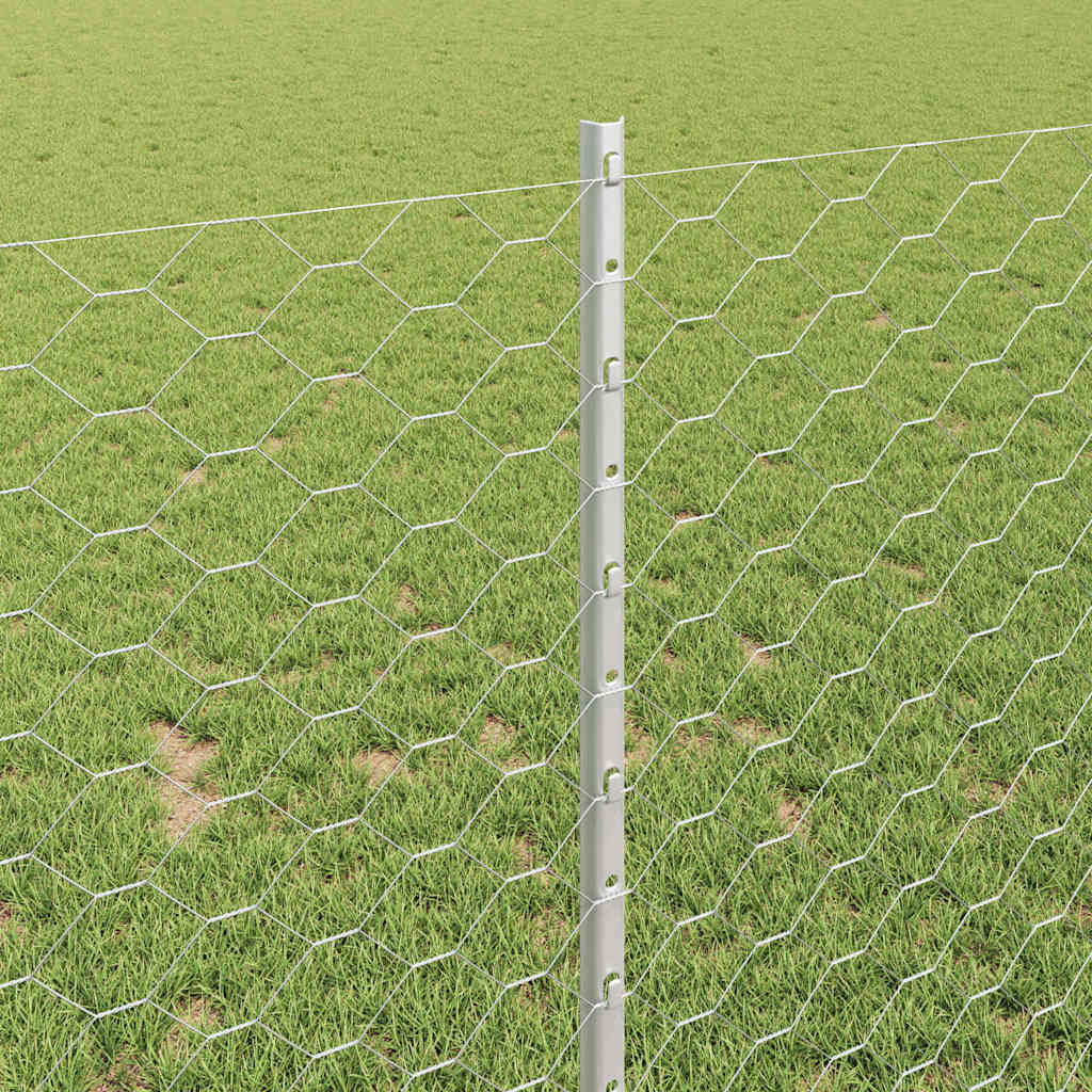 vidaXL Τείχος και Πόστ Ασημί 1 x 10 m Ατσάλι