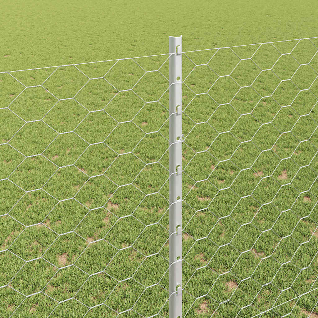 vidaXL Σετ Φράχτη Γαλβανισμένου Χάλυβα Σετ των 2 Γαλβανισμένος Χάλυβας