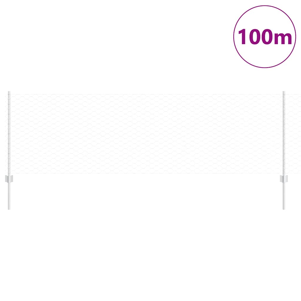 vidaXL Τείχος και Πόστ Ασημί 0,8 x 100 μ Ατσάλι