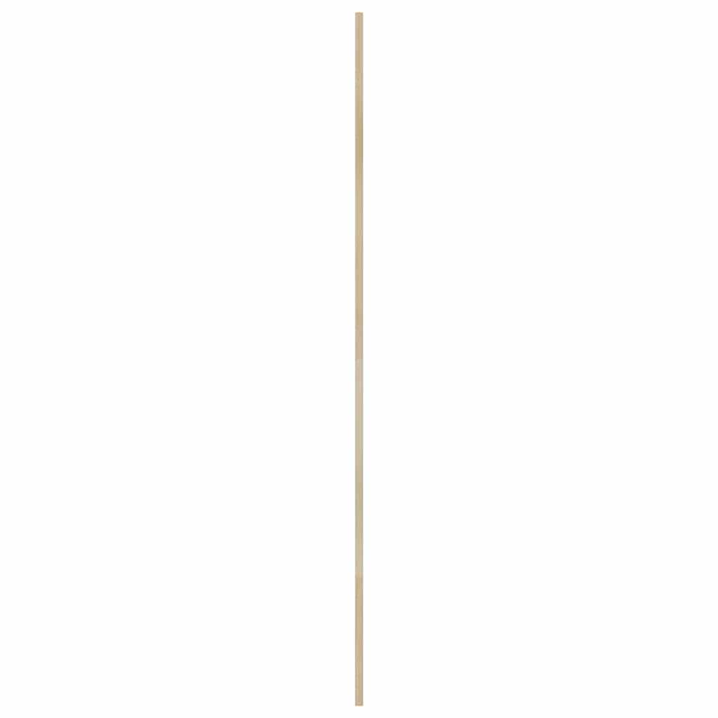 vidaXL Πόρτα Ντουλάπας Φυσικό 201 x 2,1 x 39,5 cm Στερεά ξυλεία πεύκου