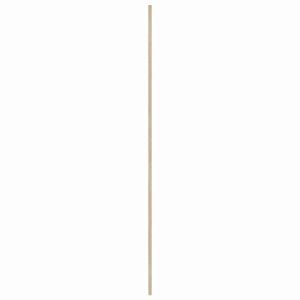 vidaXL Πόρτα Ντουλάπας Φυσικό 201 x 2,1 x 49,5 cm Μασίφ Ξύλο Πεύκου