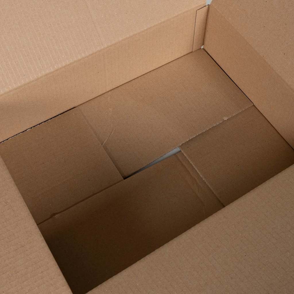 vidaXL Πτυσσόμενο Κουτί 50 pcs Φυσικό 40 x 30 x 10 εκ. Χαρτόνι