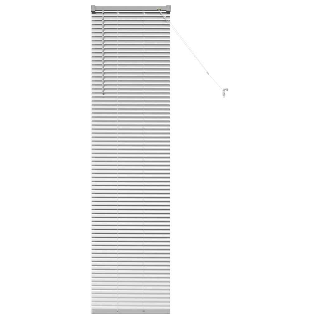 vidaXL Βενετσιάνικες Ρόδες Ασημί 175 x 40 εκ Αλουμίνιο
