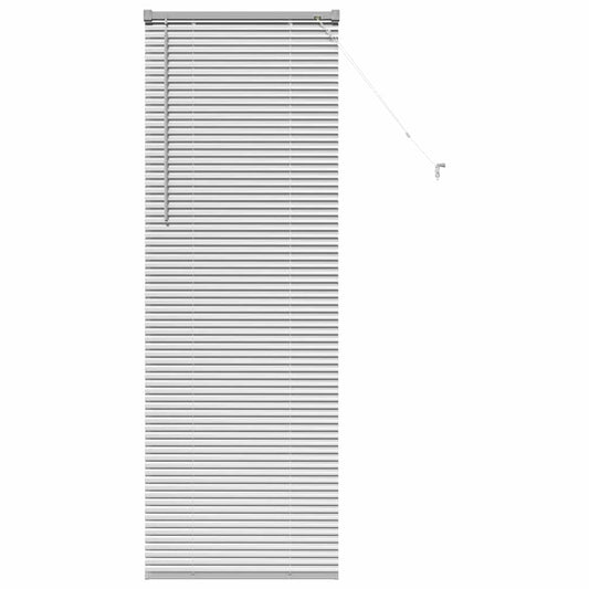 vidaXL Βενετσιάνικες Ρόδες Ασημί 175 x 55 εκ Αλουμίνιο