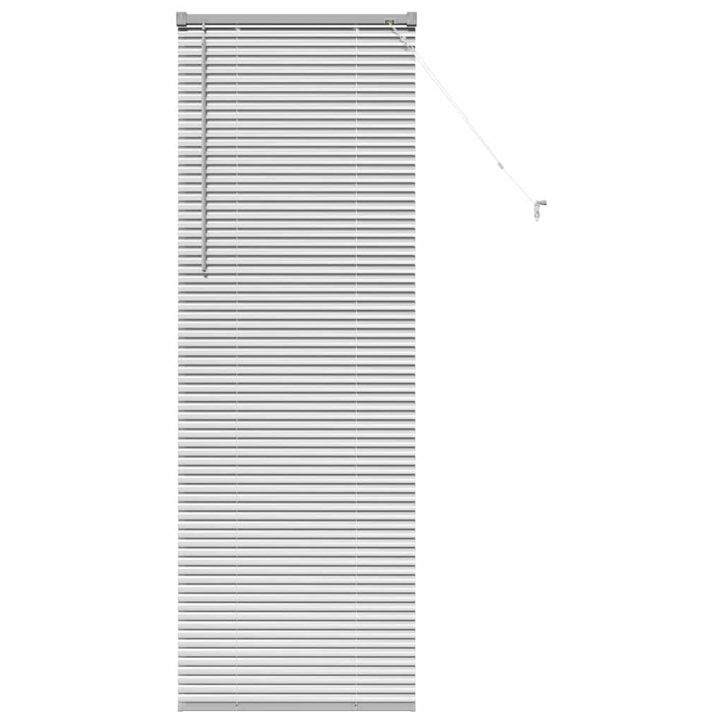 vidaXL Βενετσιάνικες Ρόδες Ασημί 175 x 60 εκ Αλουμίνιο