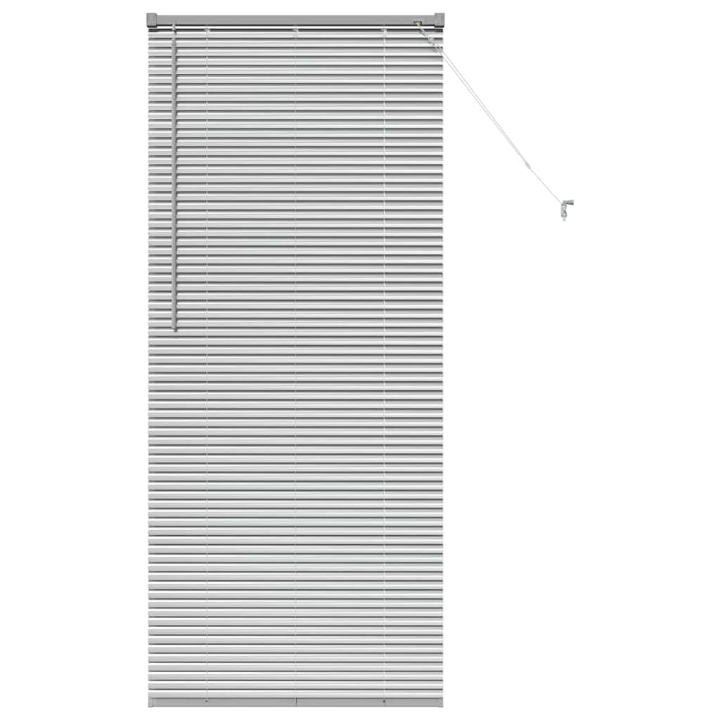 vidaXL Βενετσιάνικες Ρόδες Ασημί 175 x 75 εκ Αλουμίνιο