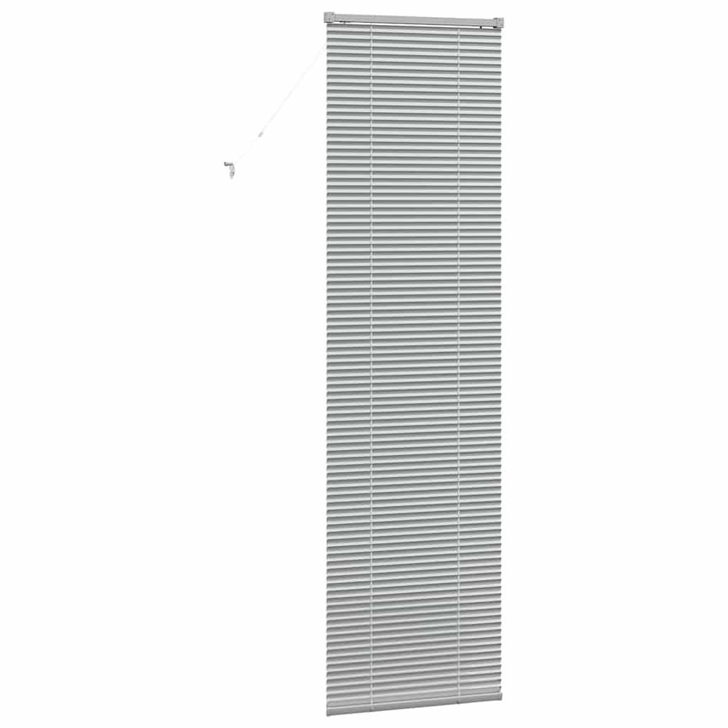 vidaXL Βενετσιάνικες Ρόδες Ασημί 220 x 55 εκ Αλουμίνιο