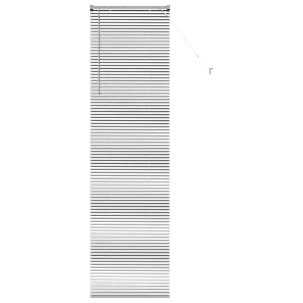 vidaXL Βενετσιάνικες Ρόδες Ασημί 220 x 55 εκ Αλουμίνιο