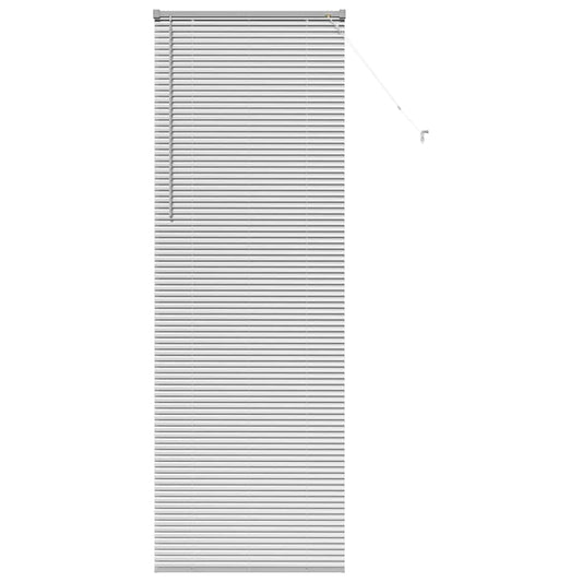 vidaXL Βενετσιάνικες Ρόδες Ασημί 220 x 70 εκ Αλουμίνιο