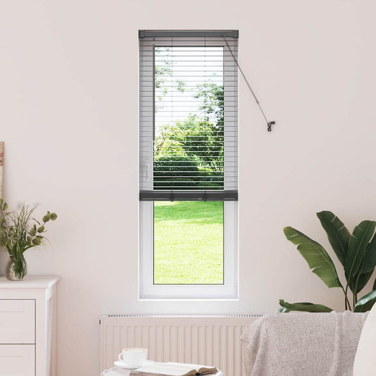 vidaXL Βενετσιάνικες Ρόδες Σκούρο Γκρι 175 x 40 εκ Αλουμίνιο