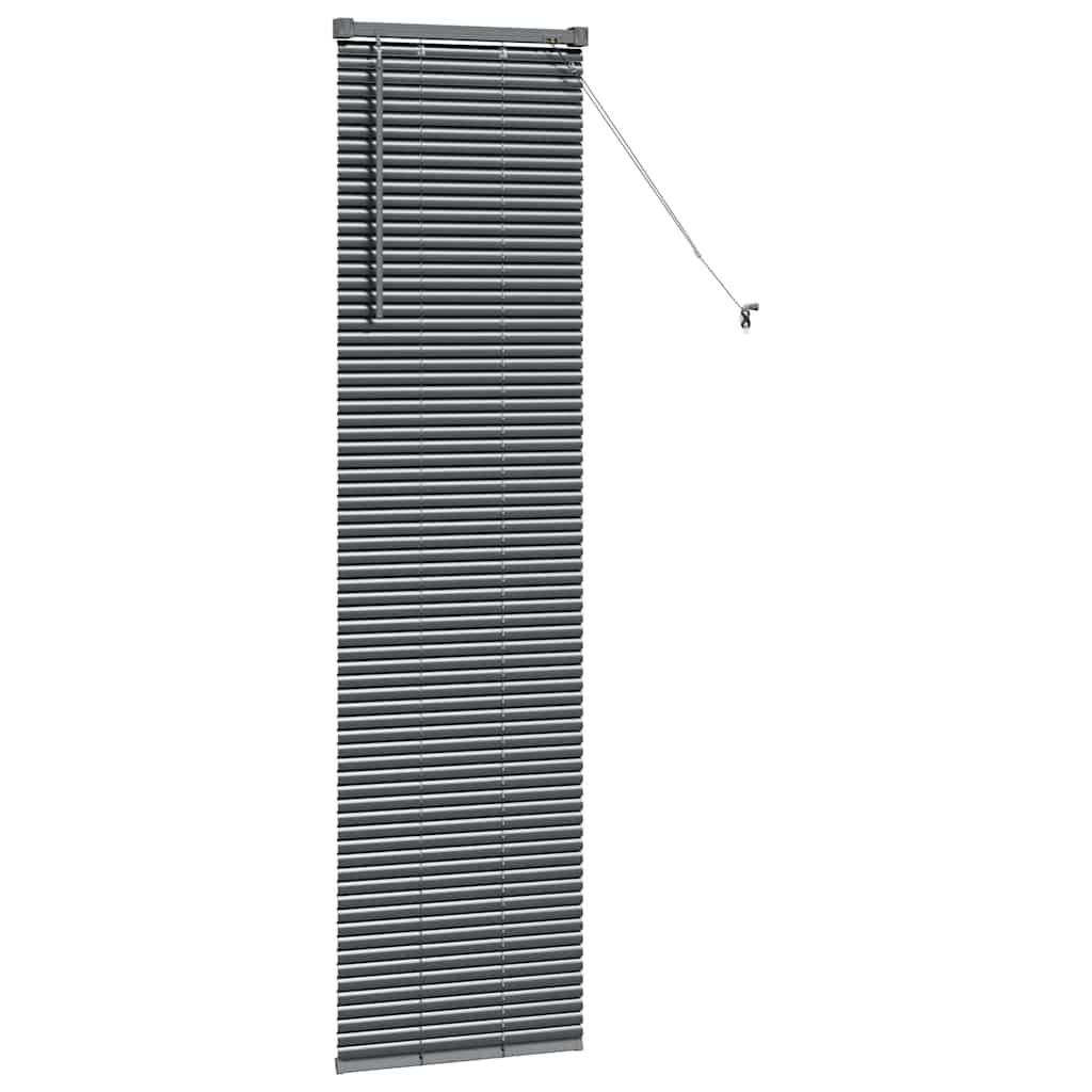 vidaXL Βενετσιάνικες Ρόδες Σκούρο Γκρι 175 x 45 εκ Αλουμίνιο