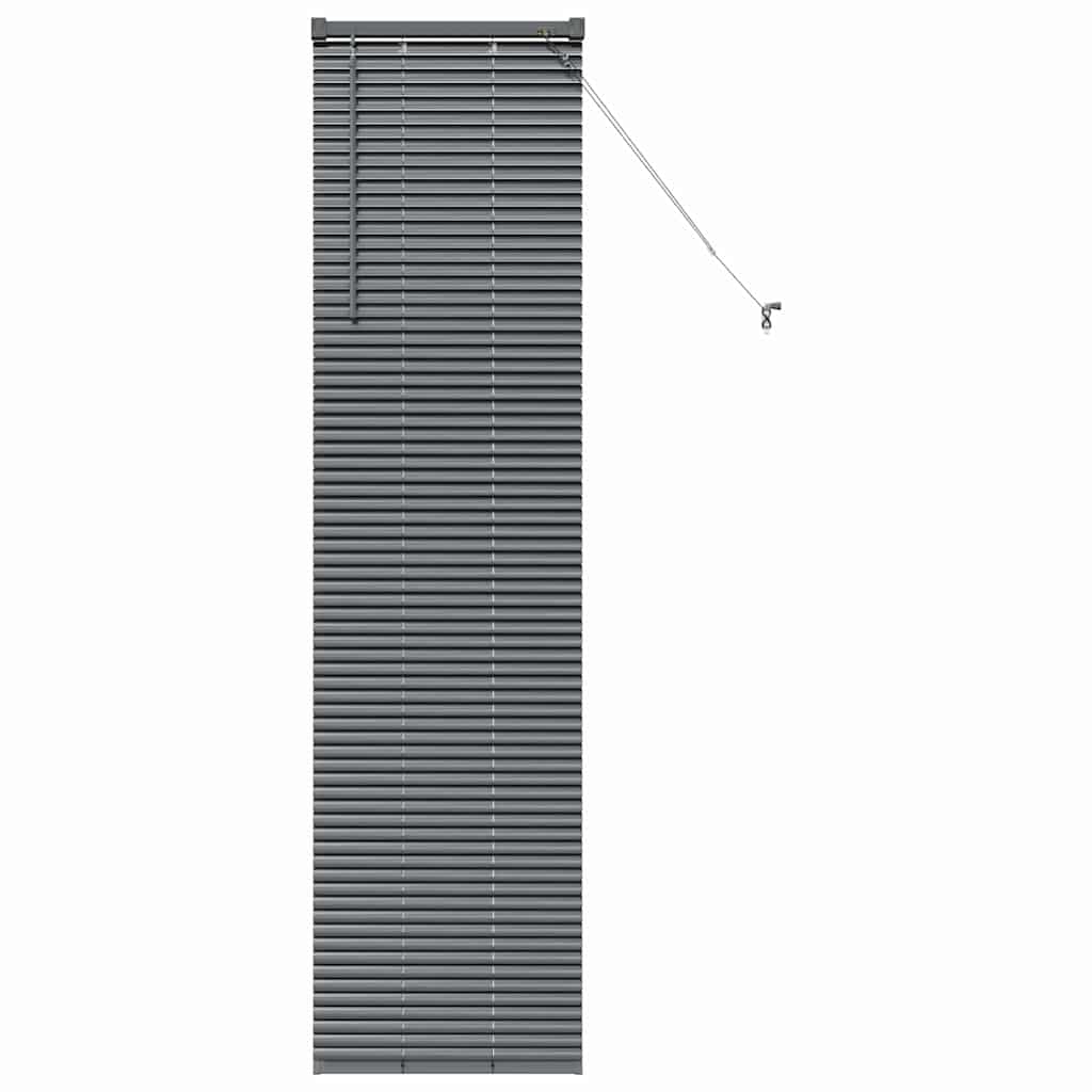 vidaXL Βενετσιάνικες Ρόδες Σκούρο Γκρι 175 x 45 εκ Αλουμίνιο