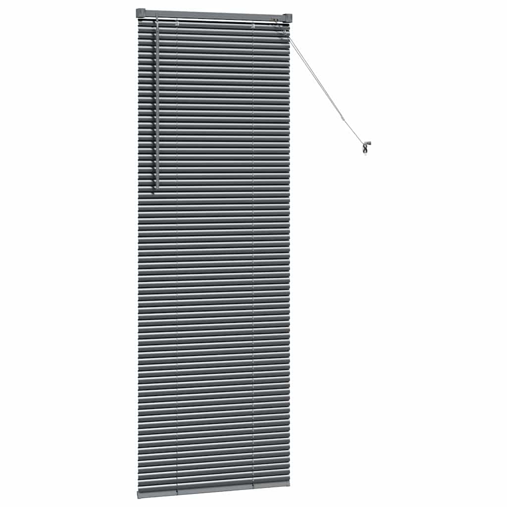 vidaXL Βενετσιάνικες Ρόδες Σκούρο Γκρι 175 x 55 εκ Αλουμίνιο
