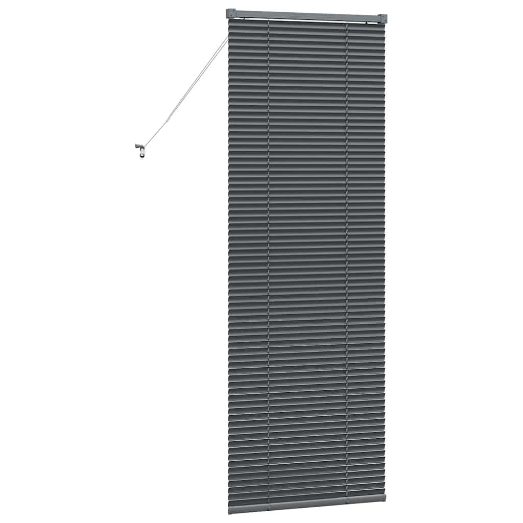 vidaXL Βενετσιάνικες Ρόδες Σκούρο Γκρι 175 x 55 εκ Αλουμίνιο