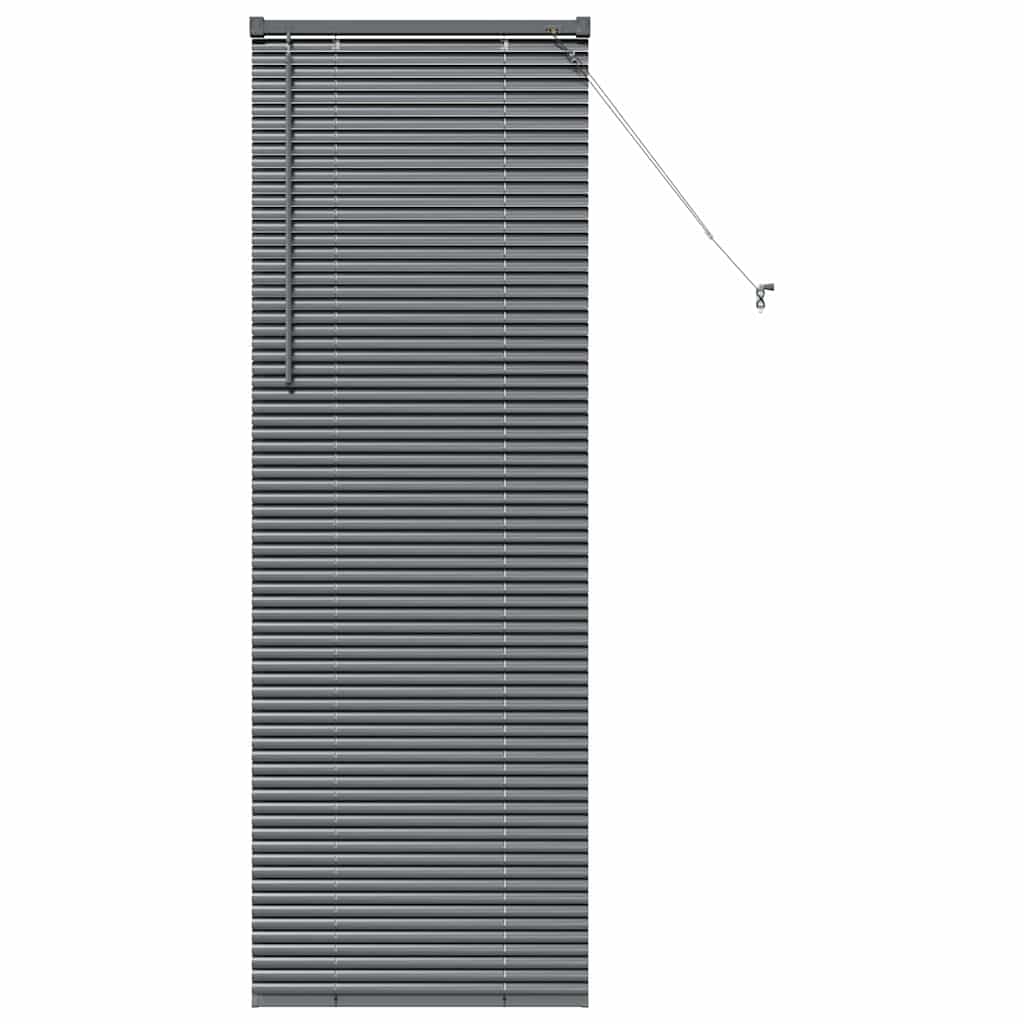 vidaXL Βενετσιάνικες Ρόδες Σκούρο Γκρι 175 x 60 εκ Αλουμίνιο