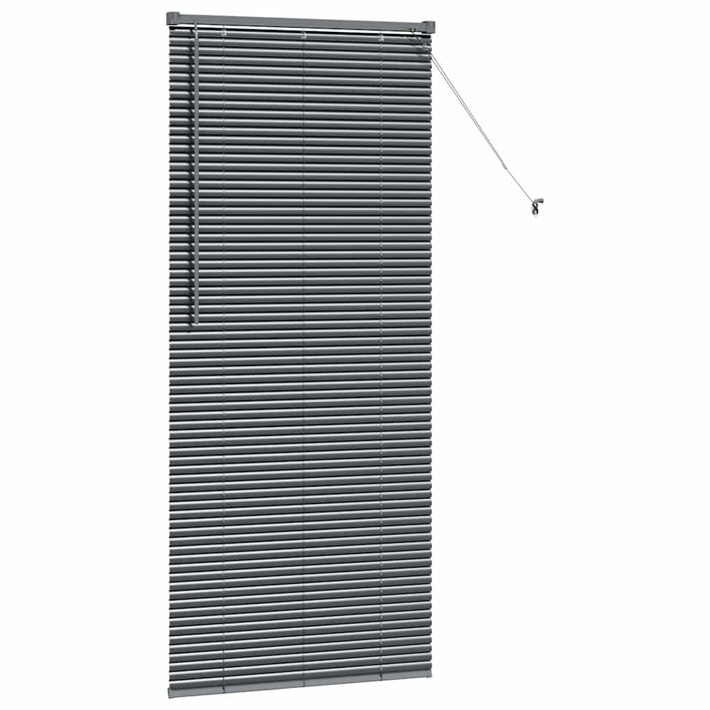 vidaXL Βενετσιάνικες Ρόδες Σκούρο Γκρι 175 x 75 εκ Αλουμίνιο