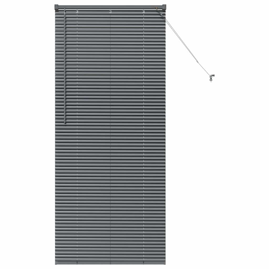 vidaXL Βενετσιάνικες Ρόδες Σκούρο Γκρι 175 x 75 εκ Αλουμίνιο