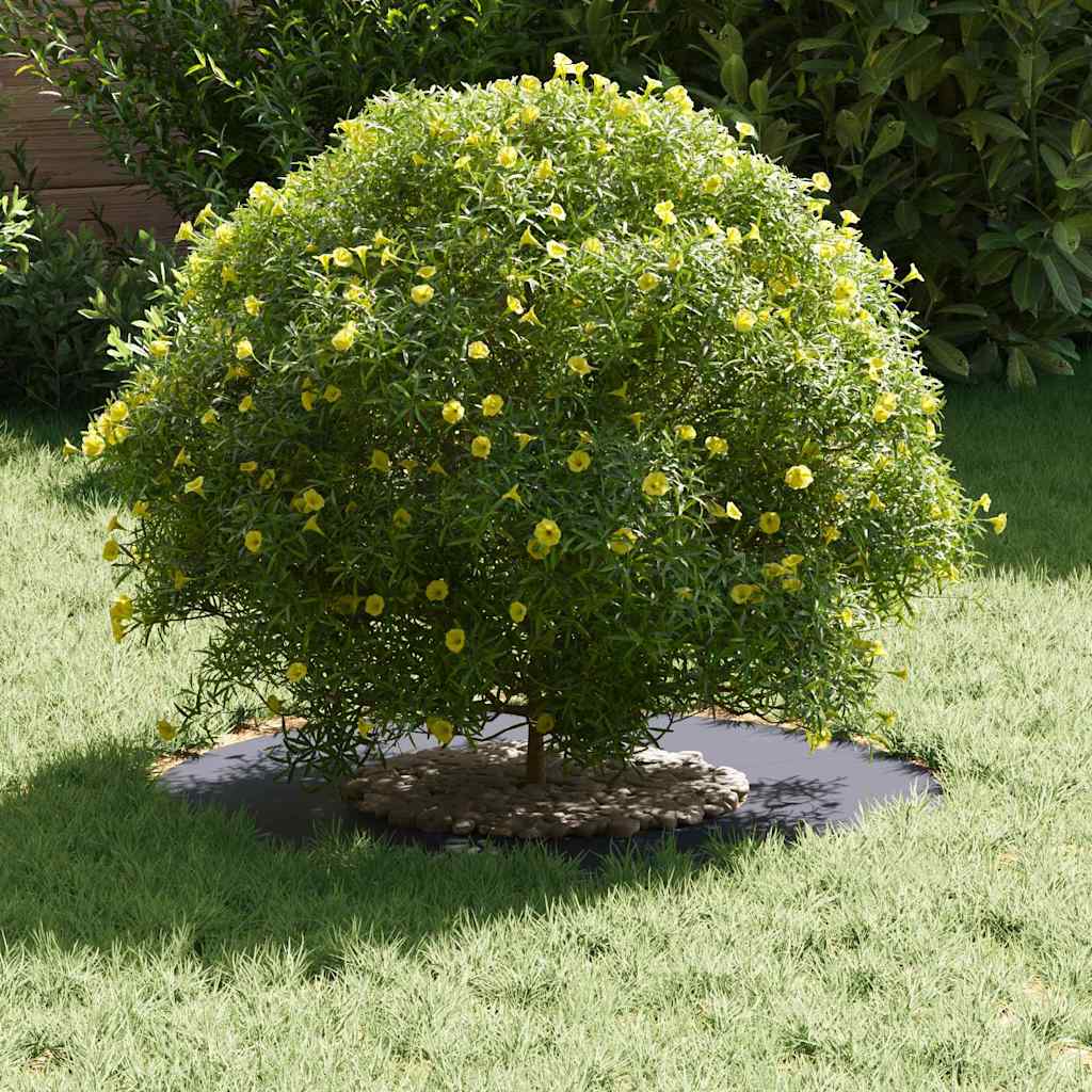 vidaXL κατάλληλο για δαχτυλίδι επίπεδου δέντρου Ανθρακί Ø30 / 60 εκ.