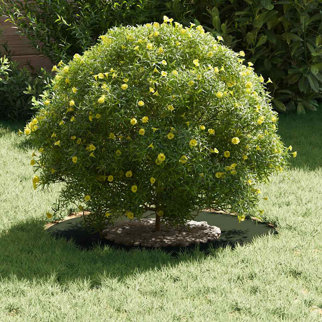 vidaXL κατάλληλο για επίπεδα δαχτυλίδια δέντρου 5 pcs Λαδί Ø30 / 60 εκ.