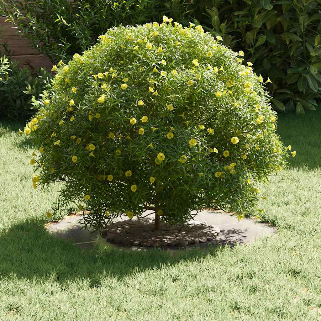 vidaXL κατάλληλο για δαχτυλίδι επίπεδου δέντρου Ασημί Ø30 / 60 εκ.