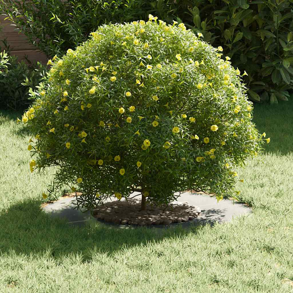 vidaXL κατάλληλο για επίπεδα δαχτυλίδια δέντρου 5 pcs Ασημί Ø30 / 60 εκ.