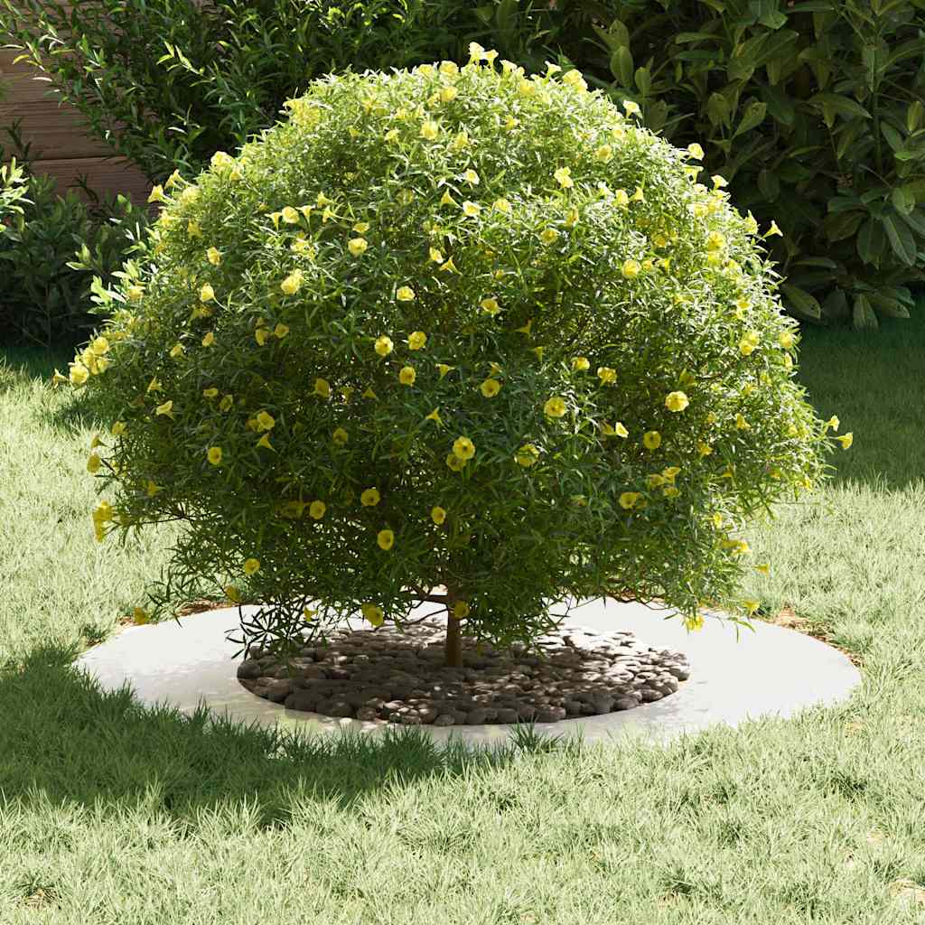 vidaXL κατάλληλο για επίπεδα δαχτυλίδια δέντρου 5 pcs Ασημί Ø40 / 70 εκ.