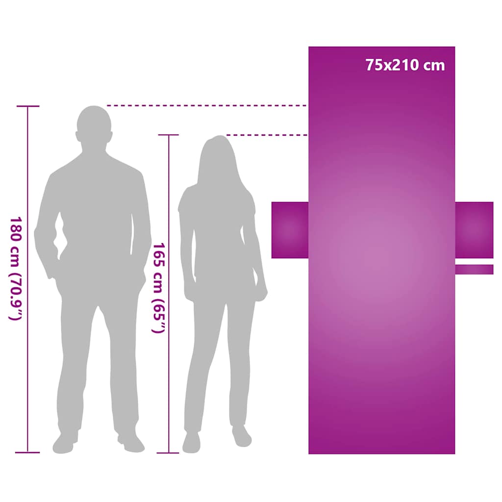 vidaXL Πετσέτες ξαπλώστρας 2 pcs Ροζ 210 x 75 cm