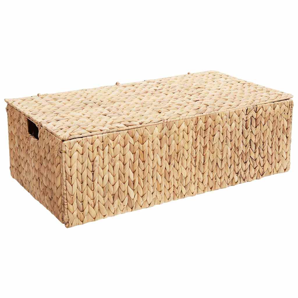 vidaXL Κουτί αποθήκευσης Φυσικό 60 x 38 x 20 εκ Υάκινθος νερού