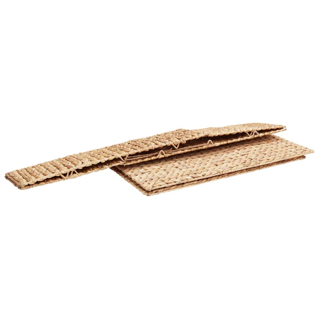 vidaXL Κουτί αποθήκευσης Φυσικό 60 x 38 x 20 εκ Υάκινθος νερού