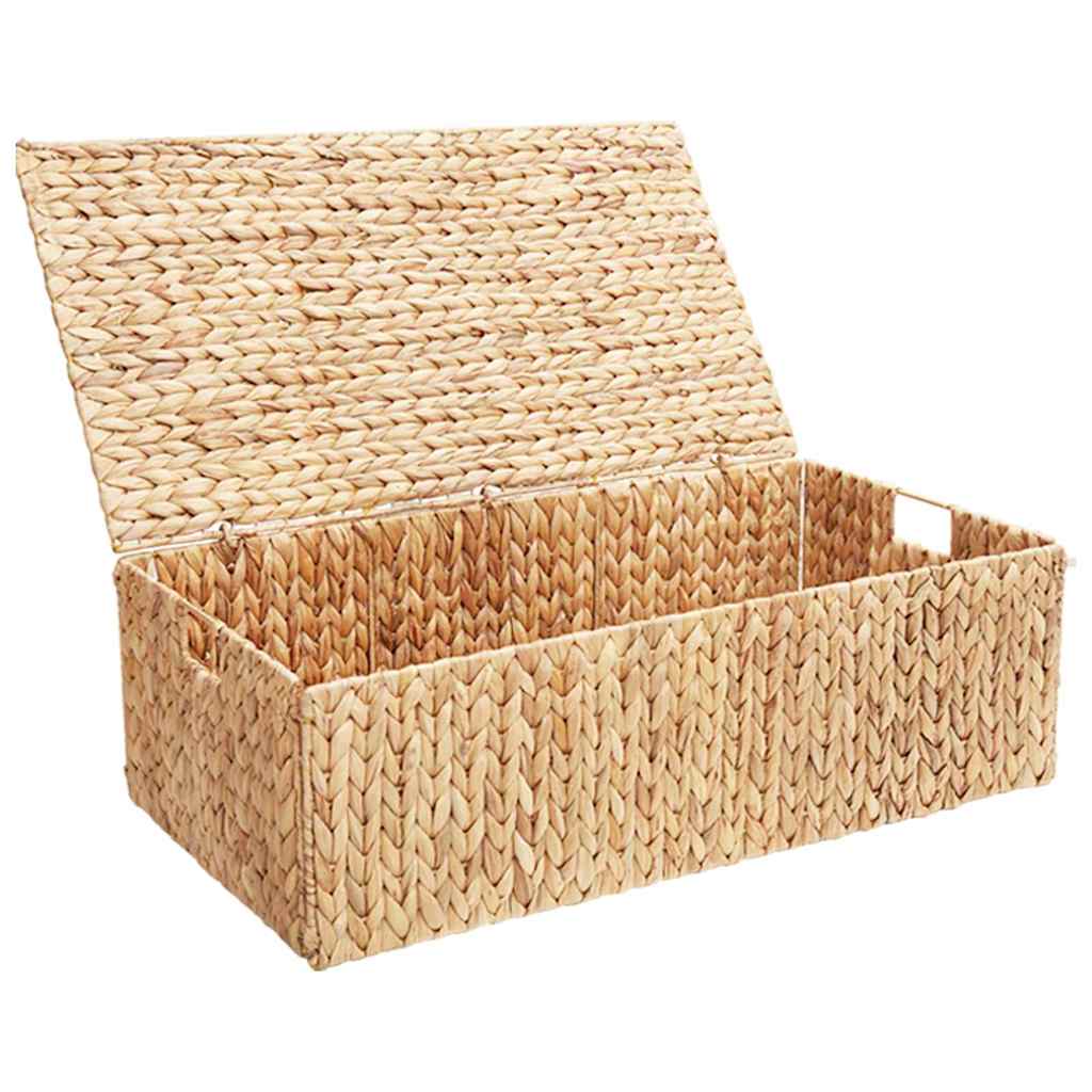 vidaXL Κουτί αποθήκευσης Φυσικό 60 x 38 x 20 εκ Υάκινθος νερού
