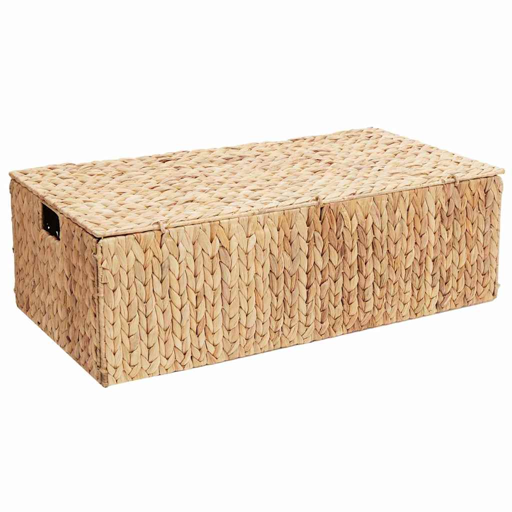 vidaXL Κουτί αποθήκευσης Φυσικό 60 x 38 x 20 εκ Υάκινθος νερού